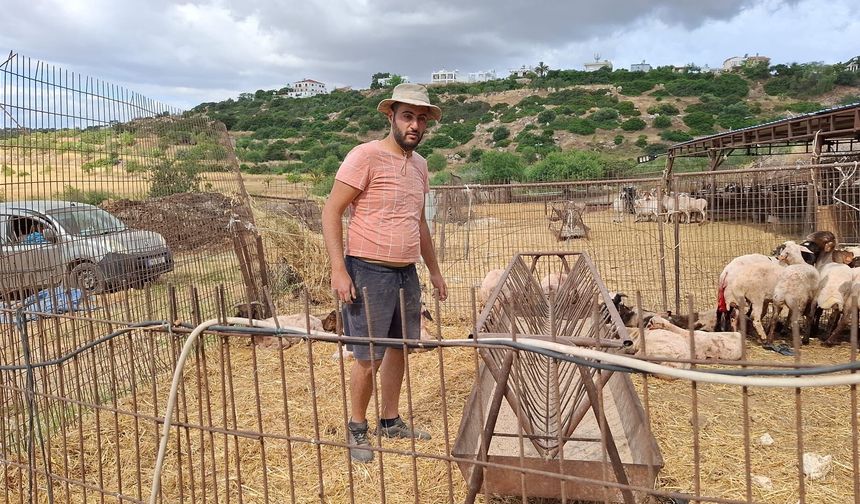 Hayvancılar Birliği Başkanı Onalt: “Başıboş köpeklerin saldırıları üreticiler için büyüyen bir sorun haline geldi"