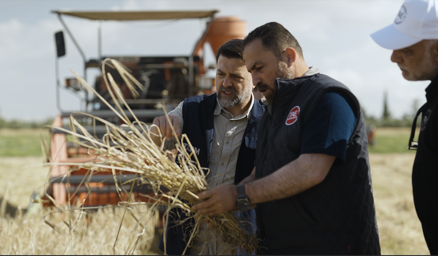 Arpa çeşit adaylarının hasadı yapıldı