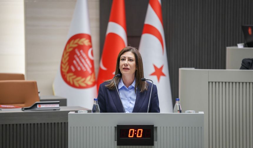 İncirli: “Ülkenin dijital güvenliği ciddi bir güvenlik meselesi”