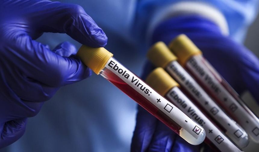 Kongo Demokratik Cumhuriyeti'nde Ebola salgınında vaka sayısı 1155'e yükseldi