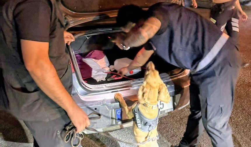 Beş ilçede asayiş ve trafik denetimi yapıldı