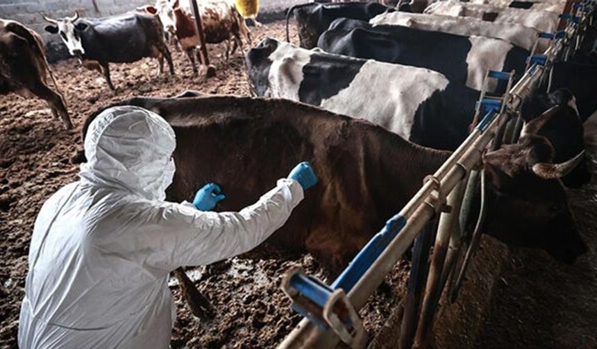 İki tarafın şapla ilgili teması devam ediyor