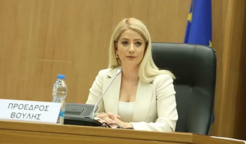 Dimitriu: “Kıbrıs'ın yeniden birleşmesine yönelik her samimi girişimi destekleyeceğiz