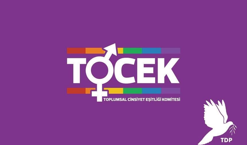 TDP TOCEK: “Kadına yönelik şiddetin önlenmesi devletin en temel sorumluluklarından biri”
