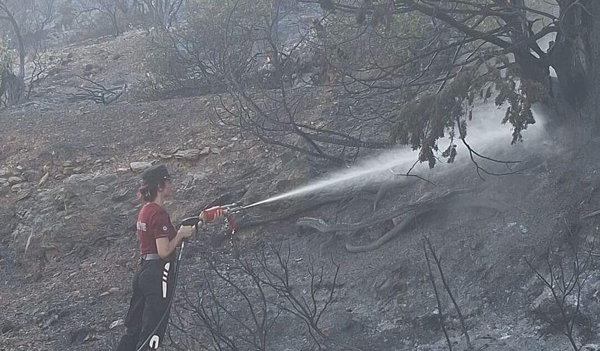 Tirmen’de 120 dönümlük alan yandı
