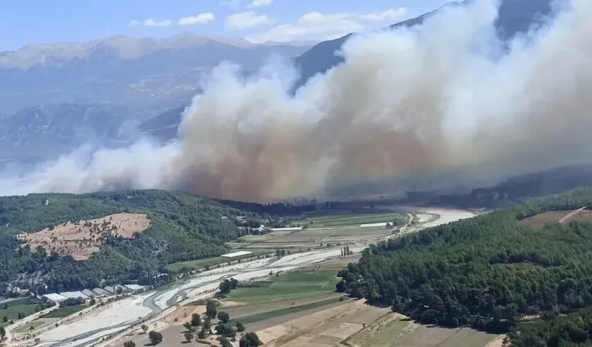 Muğla'da başlayan orman yangını Antalya'ya sıçradı