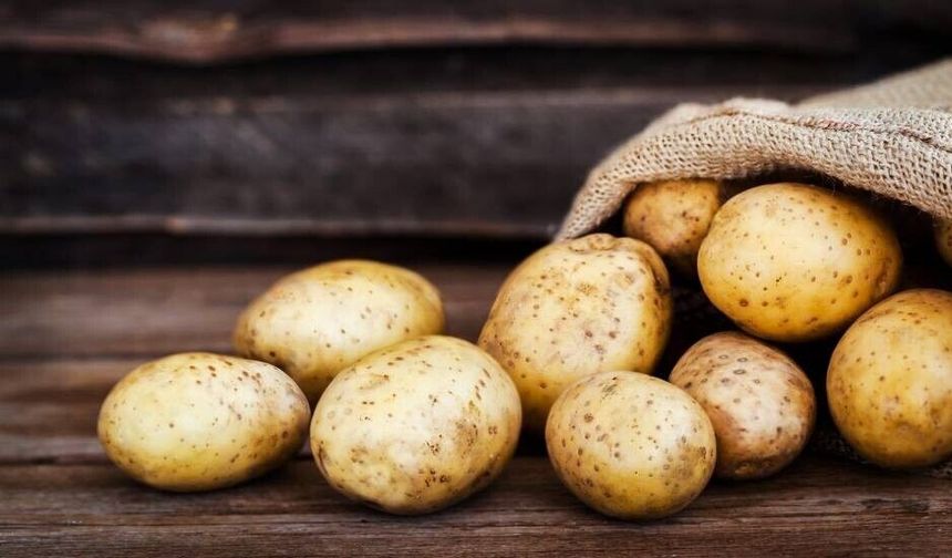 Rum tarım örgütlerinden patates üreticilerine su verilmesi talebi