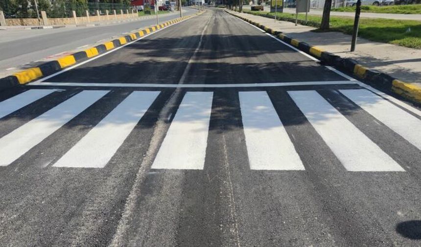 Girne’de, 81 yaşındaki kişiyi “yaya geçidinden yavaş geçtiği” gerekçesiyle darp eden şahıs tutuklandı