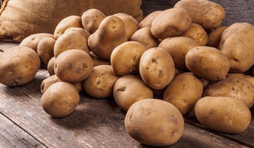 Sonbahar patates beyanları için son tarih 15 Ekim